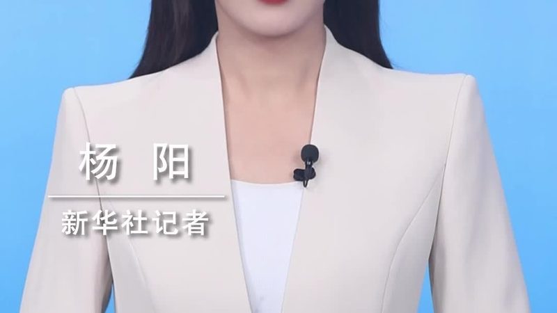 金融软件稳定性测试的关键步骤与要点**